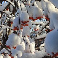 Намело, на вьюжило . :: Валентина Богатко 