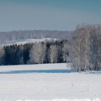 Февраль :: Татьяна Перегудова 