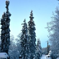 Зимний день в Лапландии. Финляндия :: ГЕНРИХ 