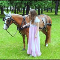 Девушка и лошадь :: Mike Collie