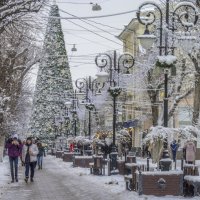 Перекус  на ходу :: Валентин Семчишин