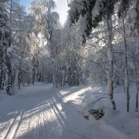 Луч света в снежном царстве :: Vladimbormotov 