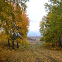 Дожди,в  Каркаралах. :: Андрей Хлопонин