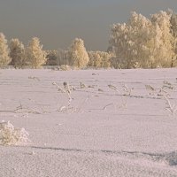 За околицей села :: Татьяна Лютаева