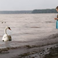 Знакомство :: Алексей Леухин