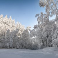 Зимний полдень :: Vladimbormotov 