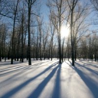 В снегах февраля :: Андрей Хлопонин