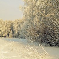 Лыжный сезон :: Татьяна Лютаева