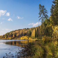 Зырянский край - древний край тайги и потомственных охотников. Река Ухта. Республика Коми :: Николай Зиновьев