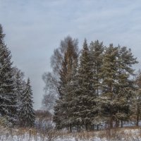 Перелесок :: Сергей Цветков