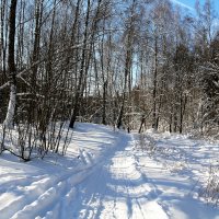 зима :: Владимир Холодницкий