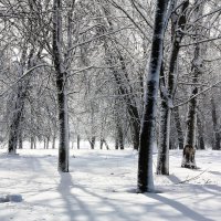 зима :: Владимир Холодницкий