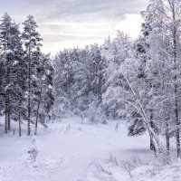 * :: Алексей Герасимов