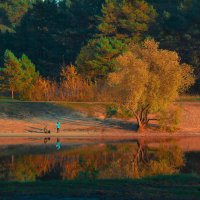 Осень золотая. :: Александра Климина