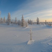 Дело к закату ... :: Олег Кулябин