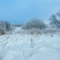 Про Питер :: Владимир Колесников