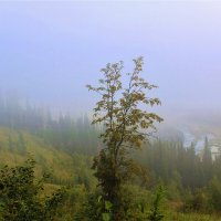 Синий туман :: Сергей Чиняев 
