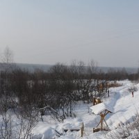 Морозное утро :: Екатерина Хозяшева