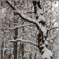 Время ЧБ :: Михаил Розенберг