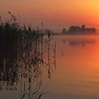 Солнце над озером. :: Анатолий Борисов