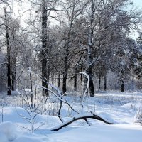 зима :: Владимир Холодницкий