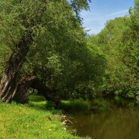 Московская область. Город Чехов. Городской парк культуры и отдыха. Майская природа. :: Наташа *****