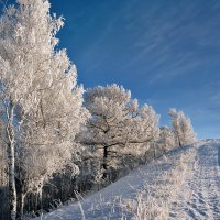 Сказка уходящей зимы :: Алексей Мезенцев