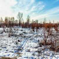 Утром февраля.. :: Юрий Стародубцев