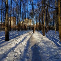 Последний день зимы :: Андрей Лукьянов