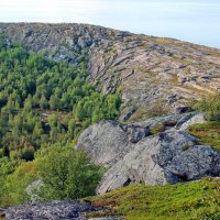 В Белом Море :: Владимир Соколов (svladmir)