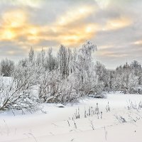 Снежный февраль :: Юрий Митенёв