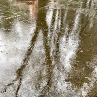 Первый весенний дождь :: Pippa 