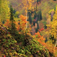 Осень в горах :: Сергей Чиняев 