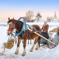 Лошадка :: Юлия Батурина