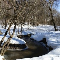 Лесной ручей в Реадовском парке. :: Милешкин Владимир Алексеевич 