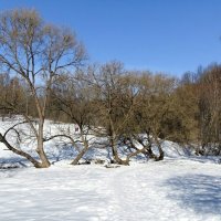 Весна в городском парке. :: Милешкин Владимир Алексеевич 