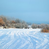 Зимняя дорога :: Любовь Сахарова