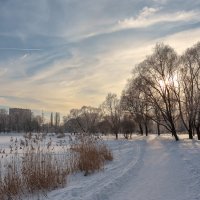 В зимнем парке... :: Сергей Кичигин