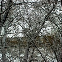 Мартовский снег :: Светлана SvetNika17