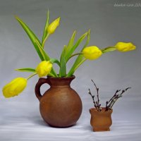 Первые тюльпаны :: Ирина Баскакова