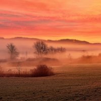 winter sunrise :: Elena Wymann