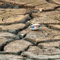 Город без воды :: Сергей Скорик