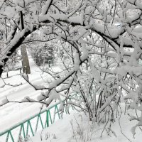После снегопада... :: Дмитрий Петренко