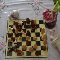 Современная история шахматных  сражений... :: Андрей Хлопонин