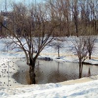 Весна в парке. :: Татаурова Лариса 