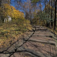 Приглашение к осенней прогулке. :: Евгений Седов