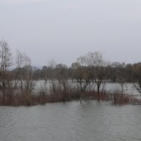 наводнение :: Наталья Штанулина