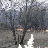 пожар :: Наталья Штанулина