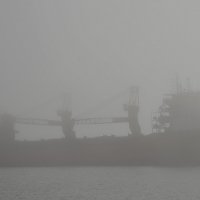 туман :: Игорь Овчинников