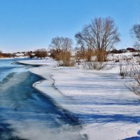 Весенняя пронзительная  синева. :: Восковых Анна Васильевна 